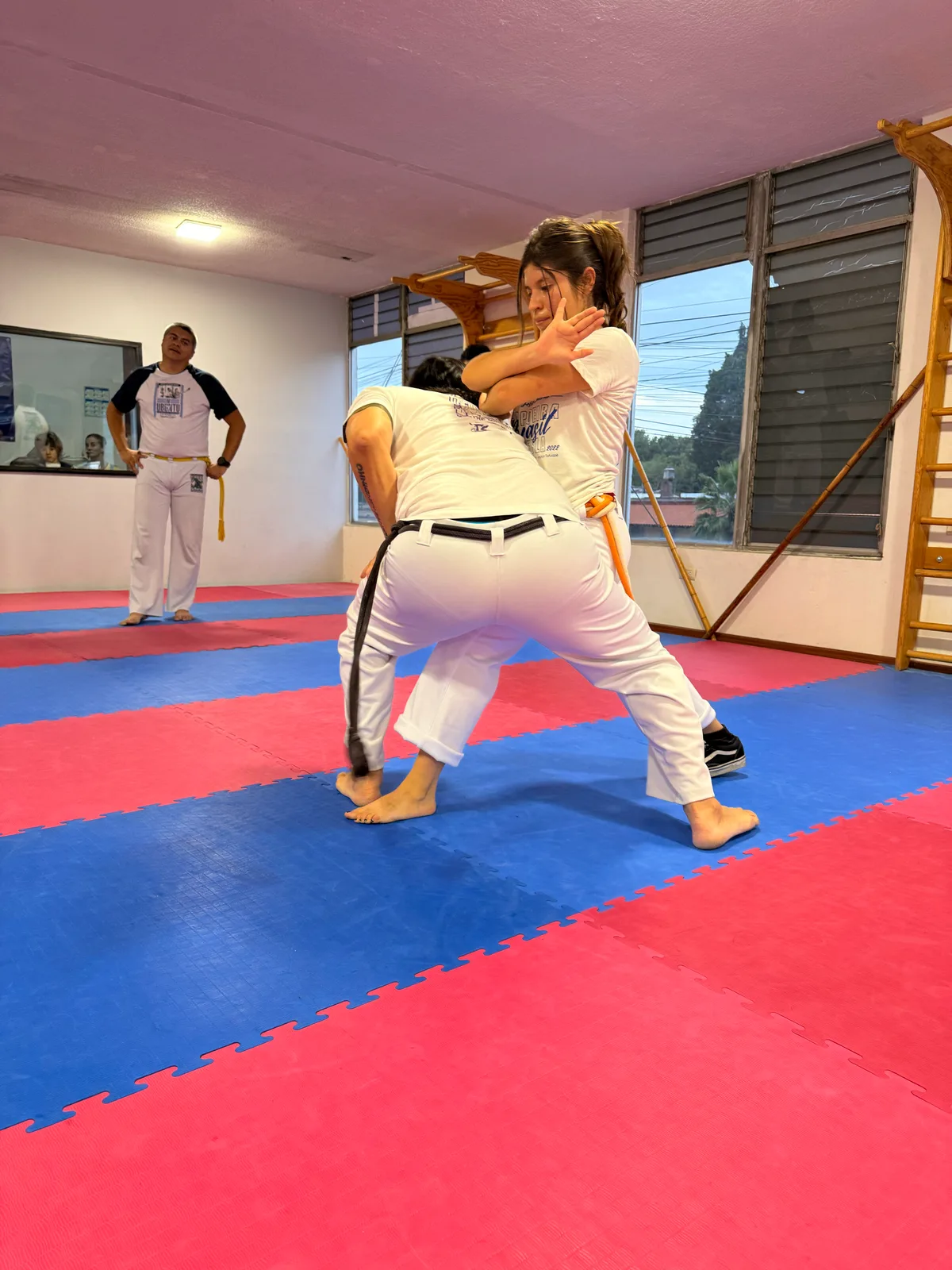 Capoeira Adultos