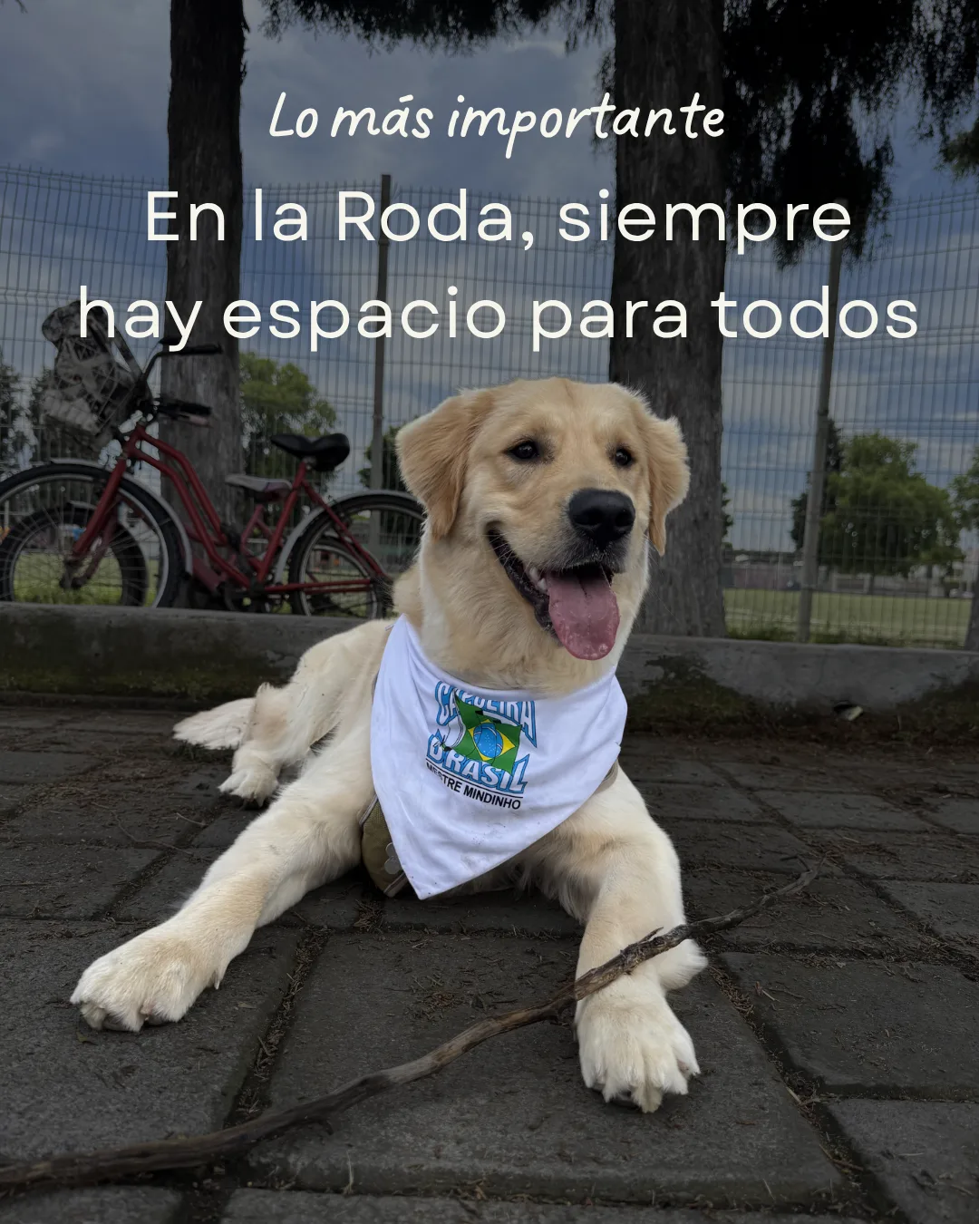 La mejor forma de entender la roda es vivirla